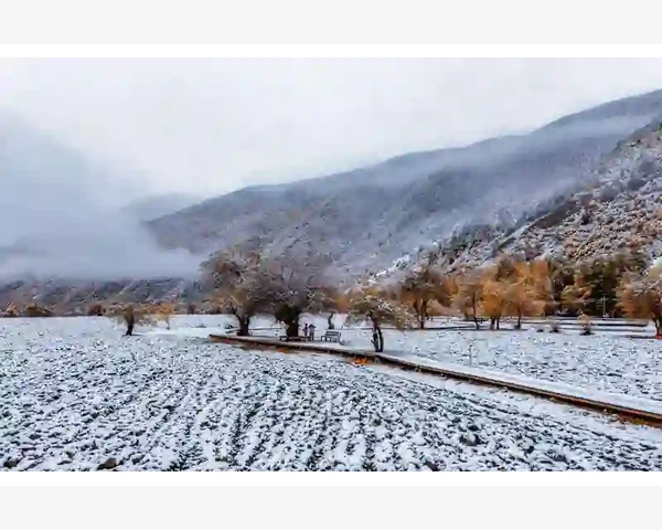 祛湿气驱寒，中医茶为你加温醒神